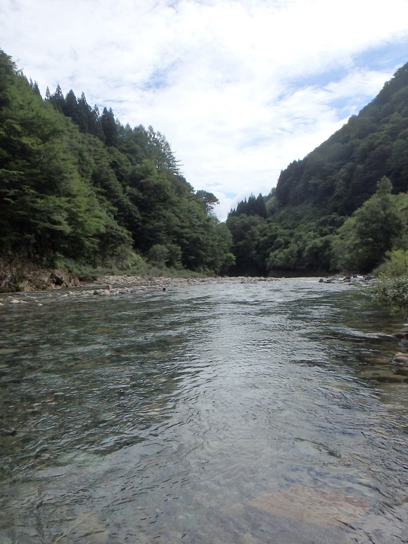 b0229003_11241837.jpg