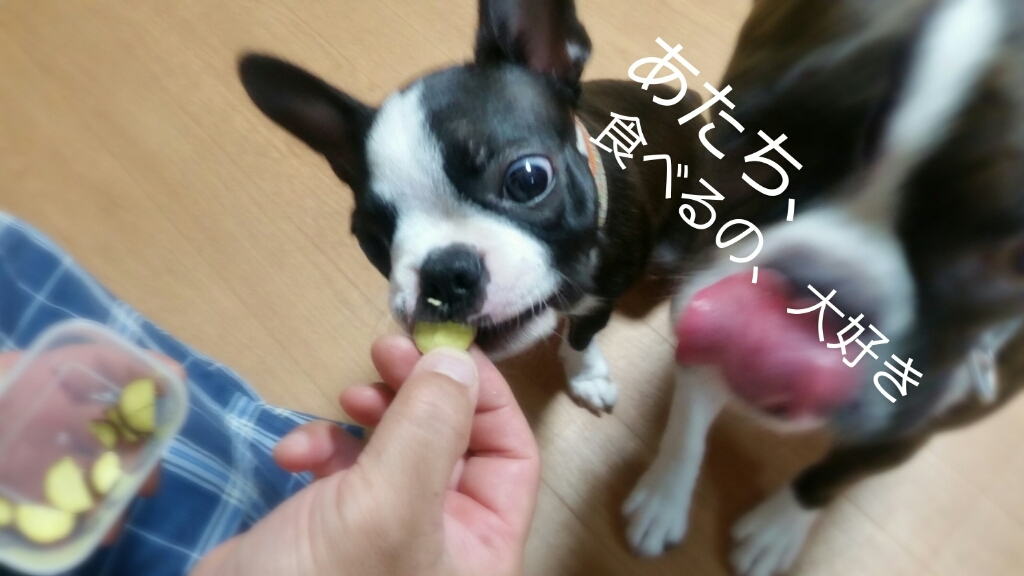 c0326807_08493241.jpg