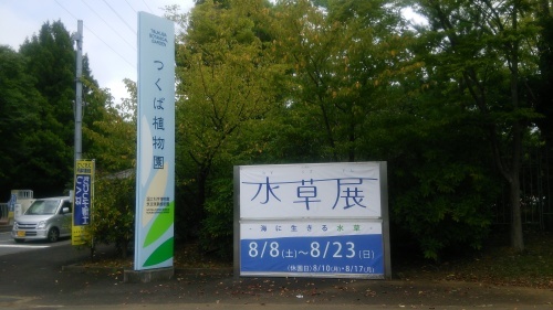 つくばの 水草展 に行ってきた 水草新世界 つくばの 水草展 に行ってきた 水草新世界