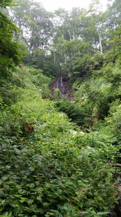 f0357714_19082293.jpg