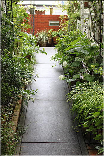 群星の剪定 小さな庭のdiary