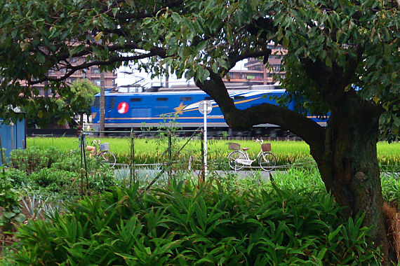 b0251929_23513637.jpg