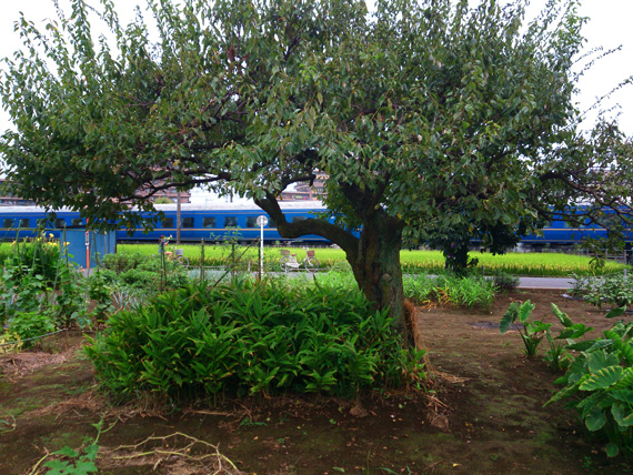 b0251929_23514627.jpg
