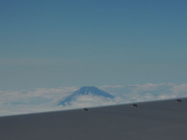 2015年6-7月石垣島+ちょこっと西表島旅行⑭石垣島その他_a0254130_10381775.jpg