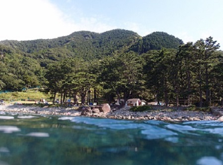 2015 夏!_d0113636_824377.jpg