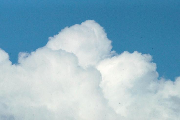 e0132536_6482874.jpg