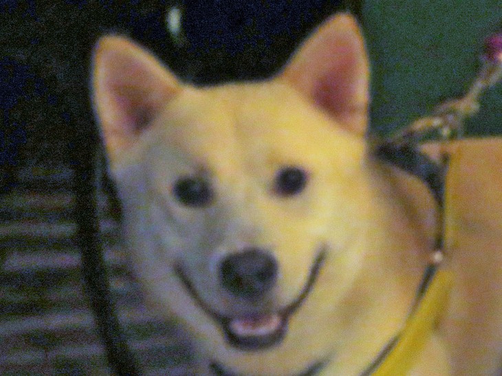 c0174644_19383776.jpg
