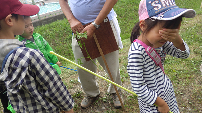 「西コミ自然ふれあい学校」　夏_c0355655_17124894.jpg