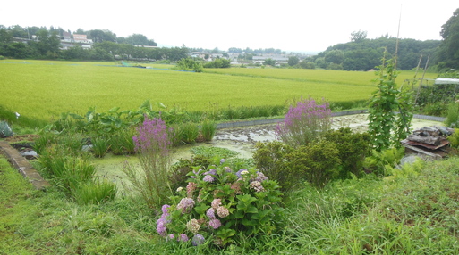 悠々の時を経てなお健在、（長野県の旅３）_a0053063_15371997.jpg