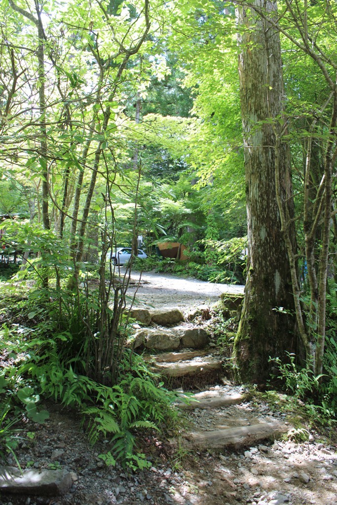 道志村・とやの沢オートキャンプ場_c0310571_08562471.jpg