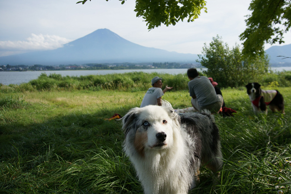 カノンちゃん　in　河口湖_f0047777_17284158.jpg