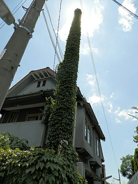 b0267578_17404538.jpg