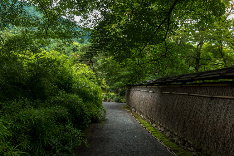 宝厳院(天龍寺塔頭)_e0051888_10185614.jpg
