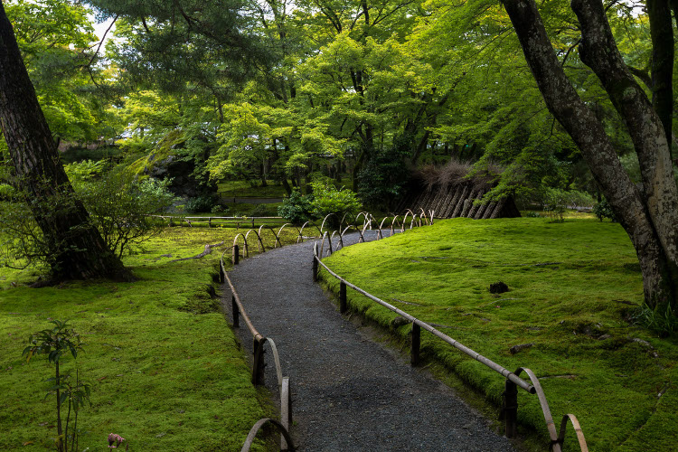 宝厳院(天龍寺塔頭)_e0051888_101926100.jpg