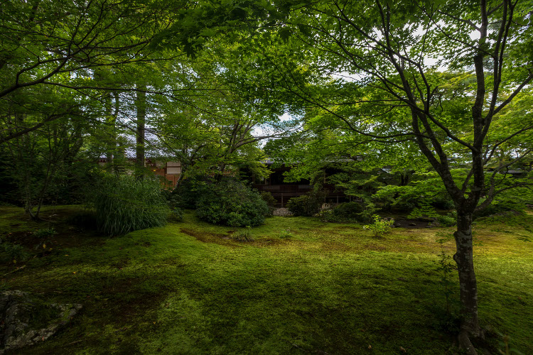 宝厳院(天龍寺塔頭)_e0051888_10193695.jpg