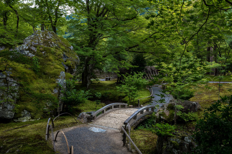 宝厳院(天龍寺塔頭)_e0051888_10204488.jpg