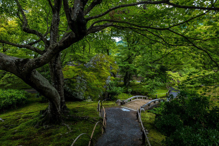 宝厳院(天龍寺塔頭)_e0051888_10214887.jpg