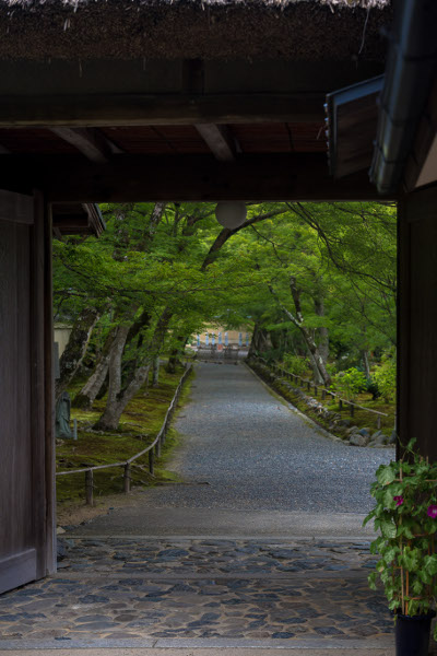 宝厳院(天龍寺塔頭)_e0051888_10222950.jpg