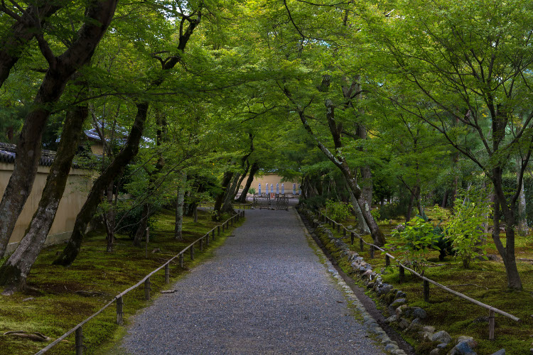 宝厳院(天龍寺塔頭)_e0051888_10224812.jpg