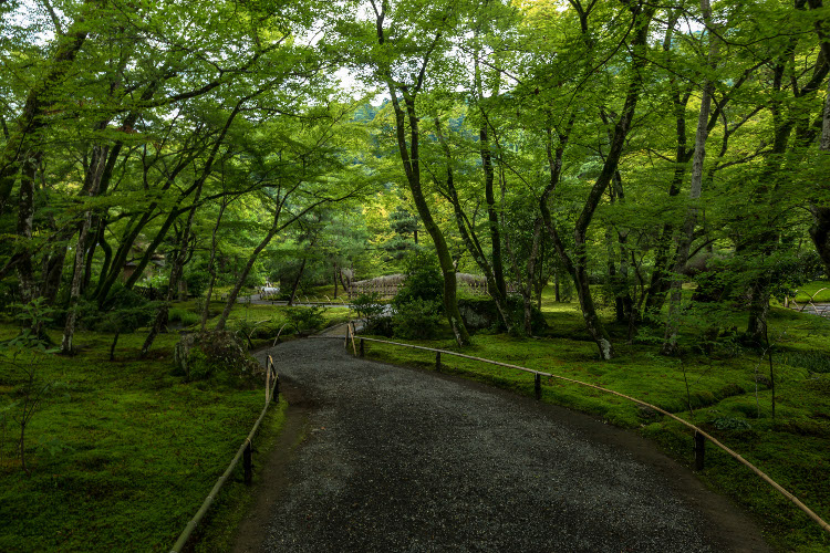宝厳院(天龍寺塔頭)_e0051888_1022963.jpg