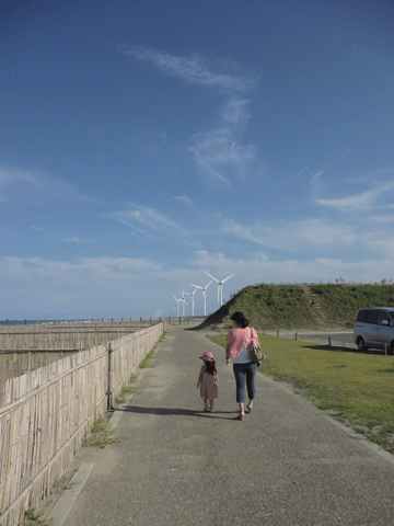 f0110488_1742773.gif