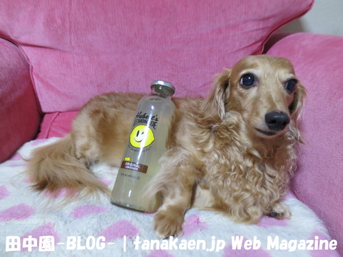 蜂に三ヶ所刺された・・・_b0200291_21182031.jpg