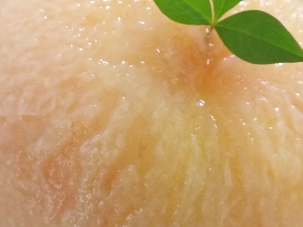 桃のケーキ♡_d0030894_10531424.jpg