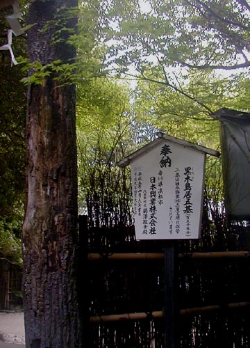●神社の造形―野々宮神社の黒木鳥居_d0053294_23234853.jpg