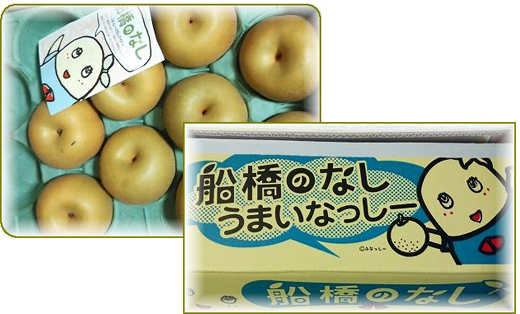 腱鞘炎　・　頂き物　・　イチジクジャム_a0065498_16491959.jpg