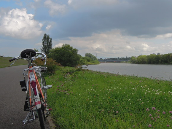 d0160307_37194.jpg