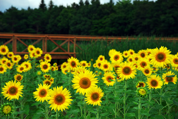 a0263109_201145.jpg