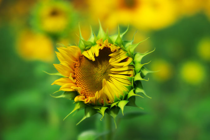a0263109_20233100.jpg