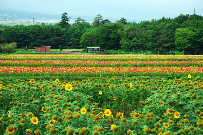a0263109_2032125.jpg