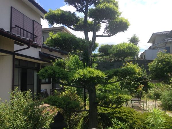 「美和台の家/リノベーション」の完成見学会を開催します♪_e0029115_1430583.jpg