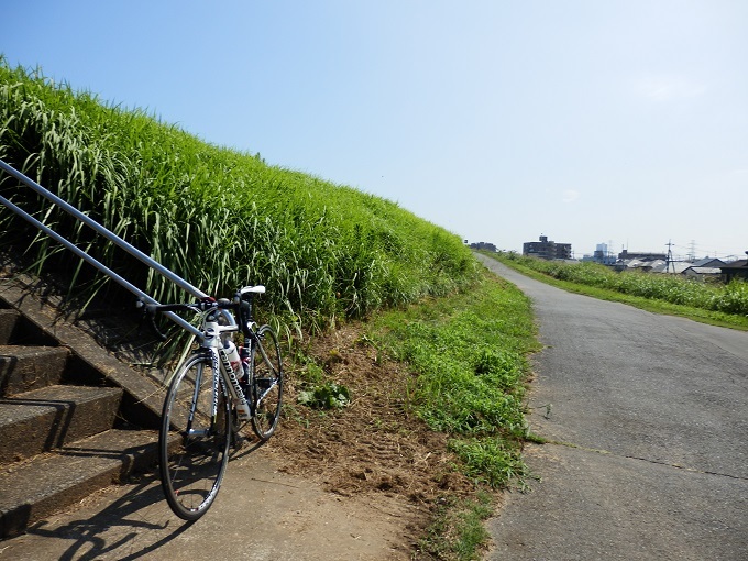 真昼間ライド　江戸川CR－手賀沼_e0341417_22402030.jpg