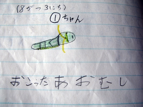 夏休み 自由研究_f0129726_21270162.jpg