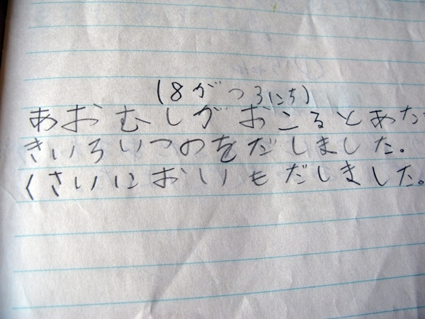 夏休み 自由研究_f0129726_21272015.jpg