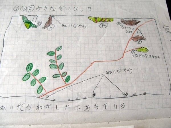 夏休み 自由研究_f0129726_21283861.jpg