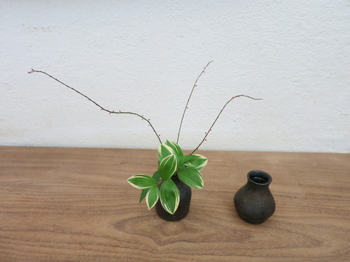 普段花のススメ_a0197730_13425529.jpg