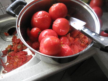 a0279743_2011057.jpg