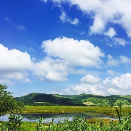 夏休み_d0008146_18232028.jpg