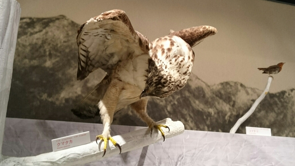 c0352852_20245922.jpg