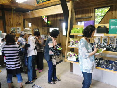 熊本ぶどう 社方園 第8回ぶどう祭り その1_a0254656_192637100.jpg