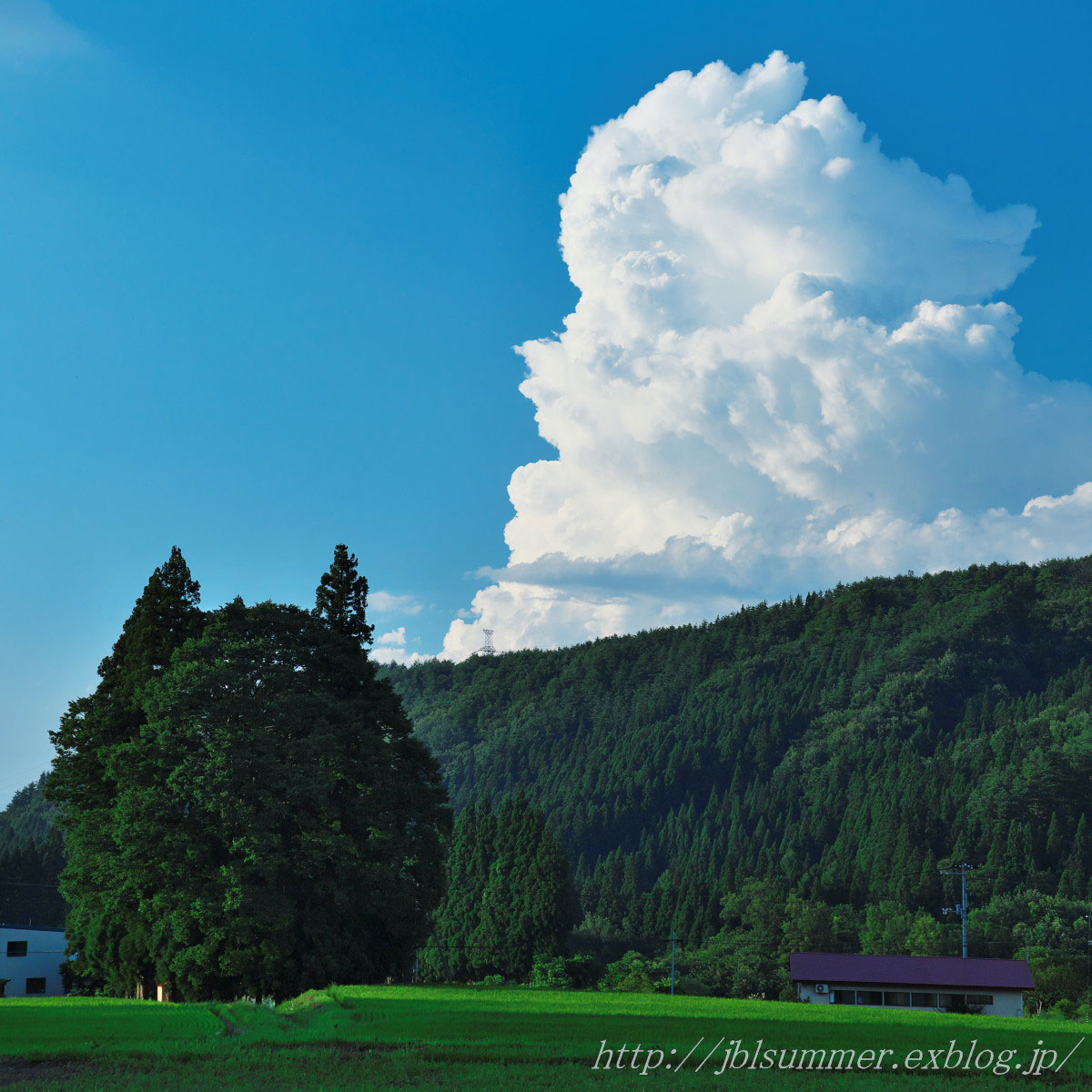 トトロ と 入道雲 あの頃の夏を探して トトロ と 入道雲 あの頃の夏を探して