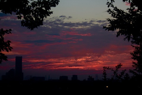 a0248459_18003192.jpg