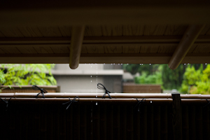 150822 kyoto_b0129659_850385.jpg