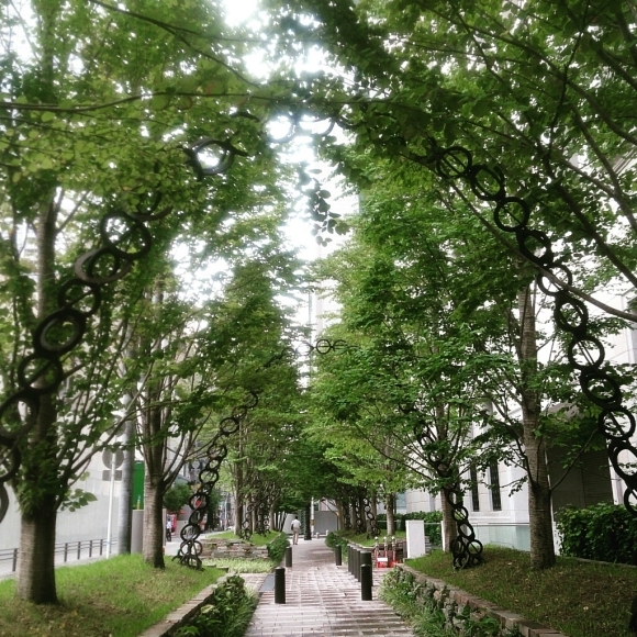 f0184876_12085094.jpg