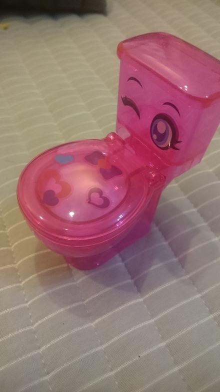 洋式便器型・・・_f0172281_5573840.jpg