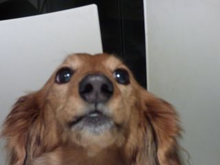2015年8月22日 キラキラだよ~_b0098584_19305510.jpg