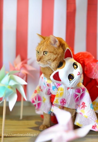 猫だって浴衣が着たい♪2015　　Cat\'s Yukata-an informal cotton kimono for summer_d0025294_19101316.jpg